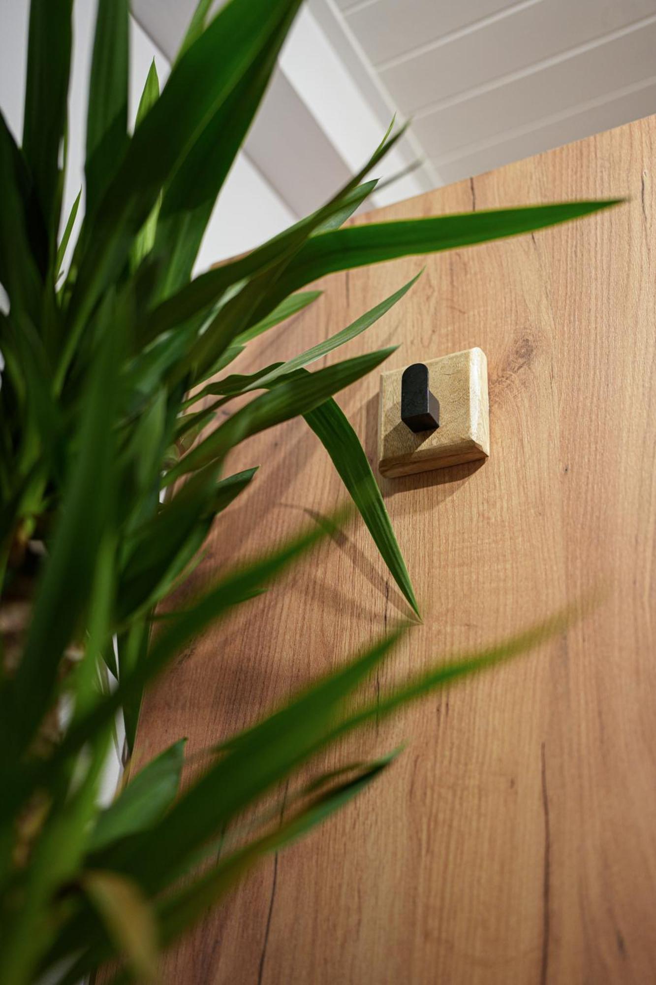 Apartament Boho Stare Miasto Nowy Sącz Εξωτερικό φωτογραφία